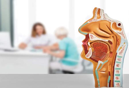 Exploring Sinus Health: An In Depth Analysis