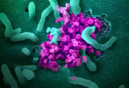 How to Use Technology to Improve Patient Safety