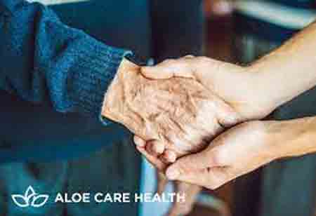 Aloe Care s Smart Hub Wins ESX 2021 Innovation Award 