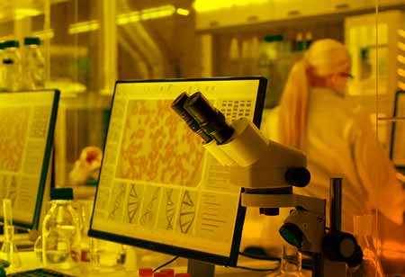 How Technology can Offer a Better Quality of Life to the Elderly