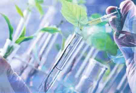 The Role of AI in Optimizing Cardiovascular Healthcare 