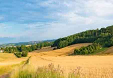 FrontRunner Releases New Software Solution--LabXchange 