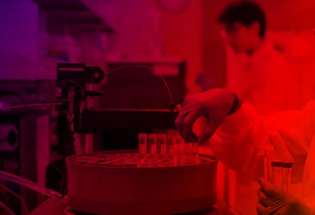 LifeStation and Papa Join Hands to Fight Loneliness and Social Isolation in Older Adults