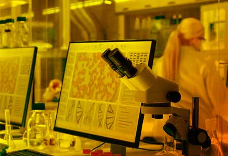 Types of Chatbots Used in Healthcare