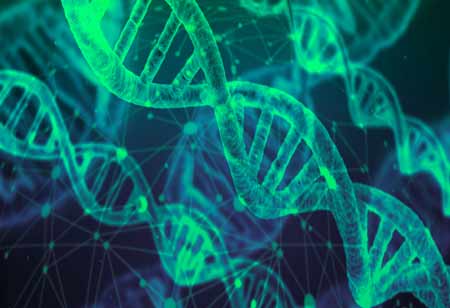 Importance of Facilities Management in the Healthcare Industry