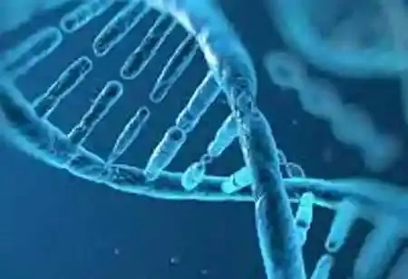 Why is Molecular Diagnostics Critical Today?