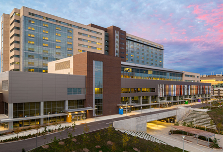 Revolutionizing Healthcare - Cultivating Innovation